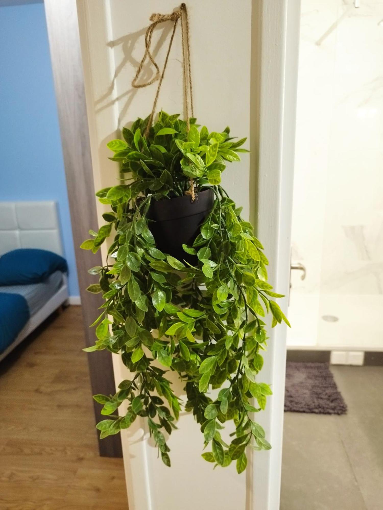 Parisian Cosy Flat With Balcony Apartment Argenteuil Ngoại thất bức ảnh